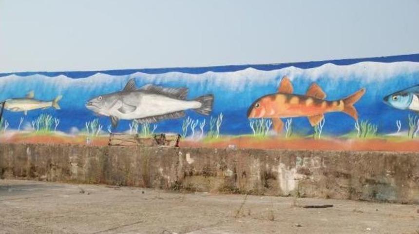 Barınak Balıklarla S&uuml;sleniyor