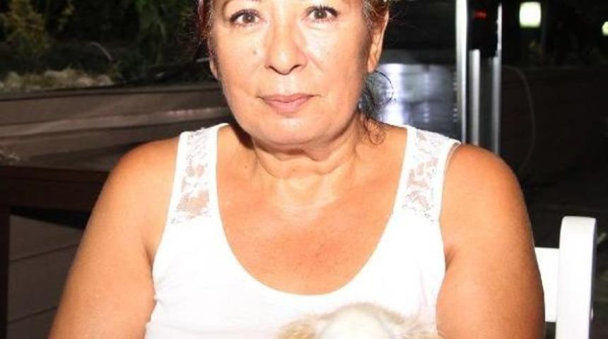 K&ouml;peklere Şiddet Kamerada