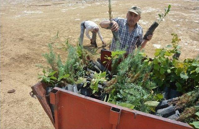 Mermer Ocaklarının Kapatılmasını Şenlikle Kutladılar