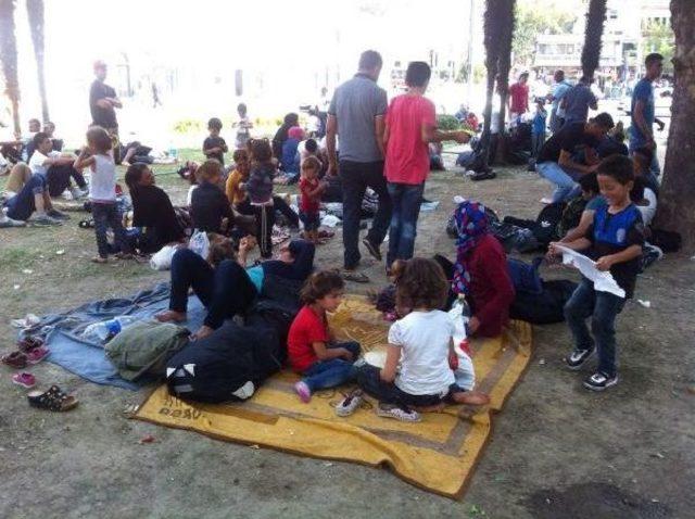 İzmir Suriyeliler Derneği. Savaş Sürdükçe Gelenler Artacak