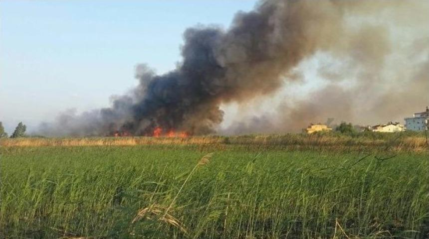 Edremit&rsquo;te Sazlık Tekrar Yandı