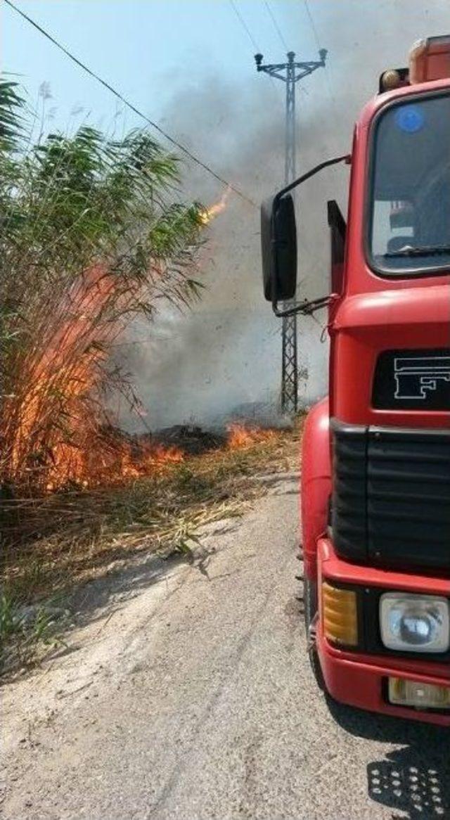 Edremit’te Sazlık Tekrar Yandı