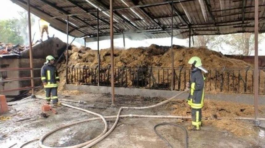Samanlıkta &Ccedil;ıkan Yangını İtfaiye S&ouml;nd&uuml;rd&uuml;