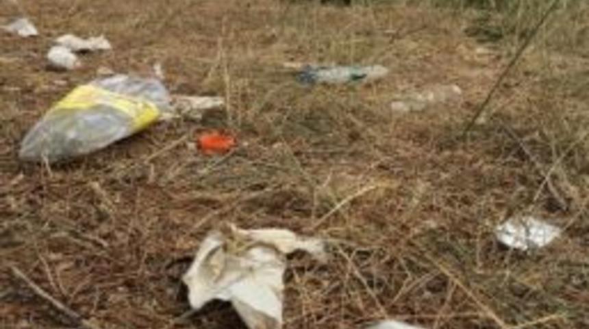 Şehit Ormanına Yakışmıyor