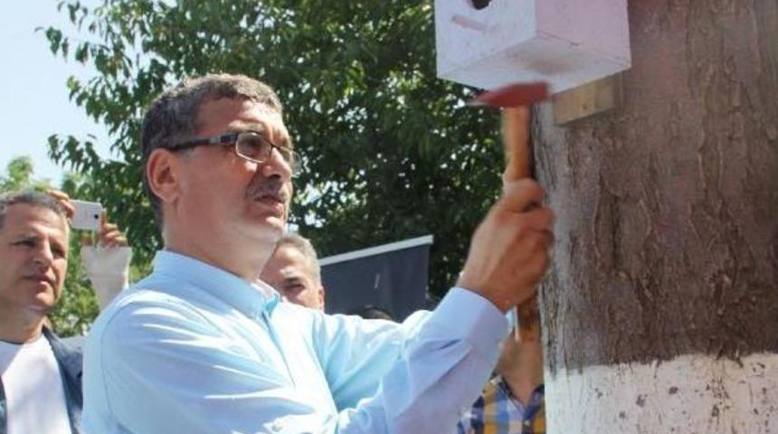 Şanlıurfa&rsquo;Da Parklarda Kuş Yuvaları Yapılıyor