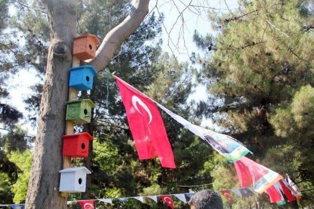 Şanlıurfa’Da Parklarda Kuş Yuvaları Yapılıyor