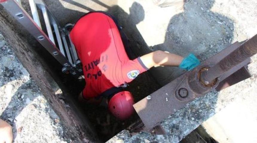 Kanala D&uuml;şen K&ouml;peği Itfaiye Kurtardı