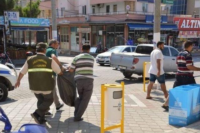 Yola Fırlayan Yavru Ceylana Otomobil &Ccedil;arptı 2