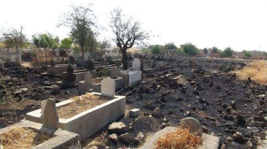 Batman&rsquo;da 300 Yıllık Mezarlıkta Yangın &Ccedil;ıktı