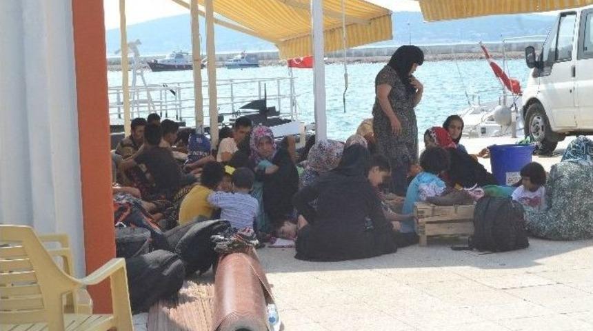Ayvalık&rsquo;ta 57 Afgan M&uuml;lteci Yakalandı