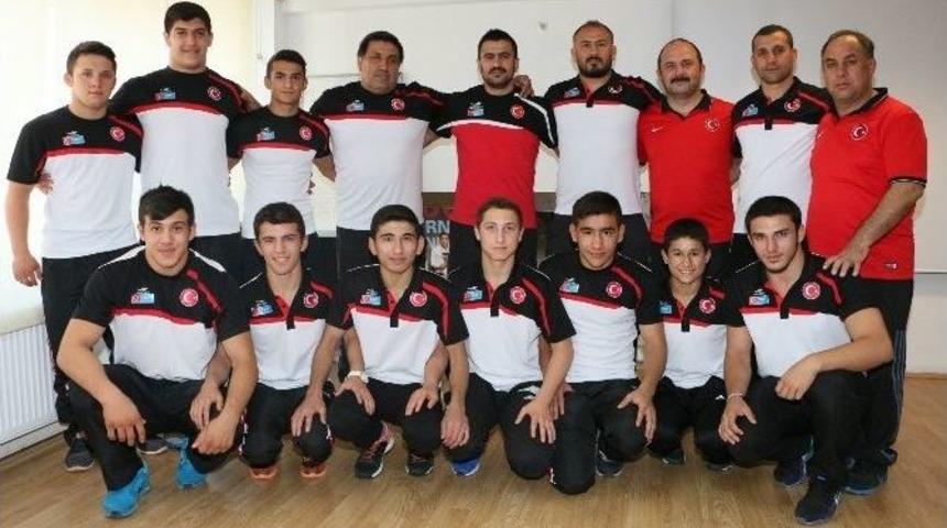 B&uuml;y&uuml;kşehir G&uuml;reş&ccedil;ileri Sırbistan Yolcusu