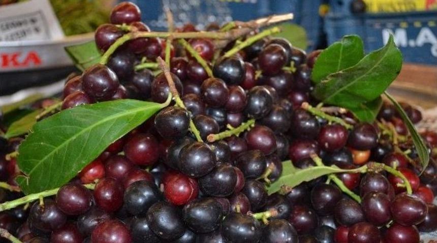 Karayemiş, Sinir Yatıştırıyor