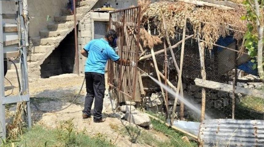 Kahramanmaraş&rsquo;ta Sinekle M&uuml;cadele