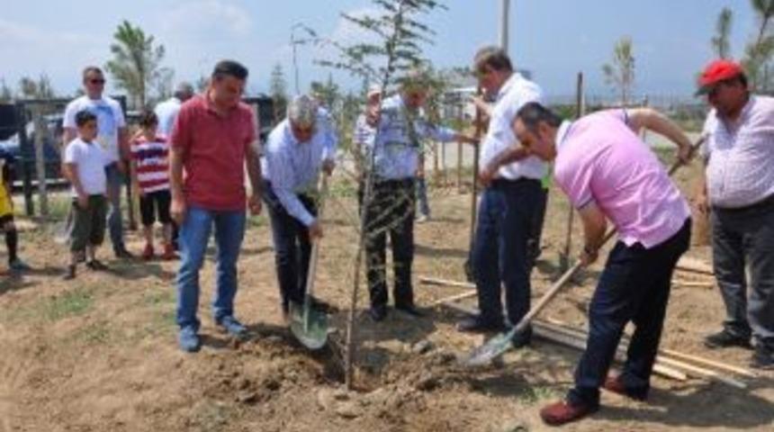 Afet Evleri Yeşilleniyor