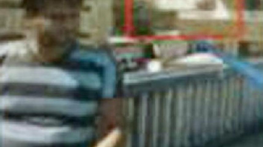 Şanlıurfa&rsquo;Da 2 El Nusra &Uuml;yesi Tutuklandı