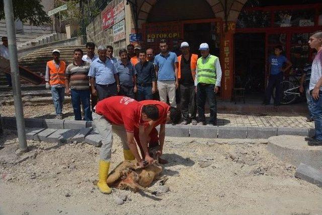 Kavşak Projelerinin Startı Verildi