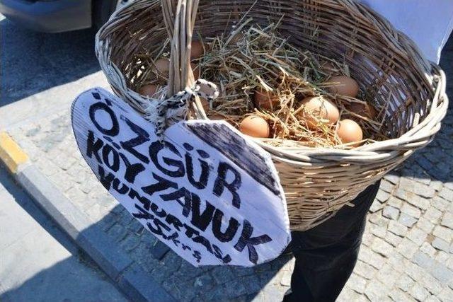 Özgür Tavukların Yumurtaları Kapışılıyor