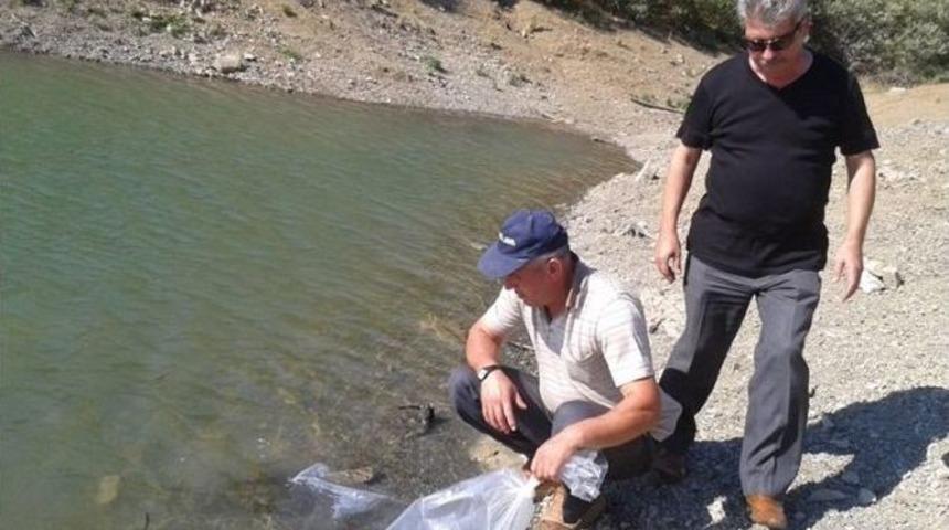 &Ccedil;anakkale&rsquo;de G&ouml;letlere 30 Bin Balık Bırakıldı