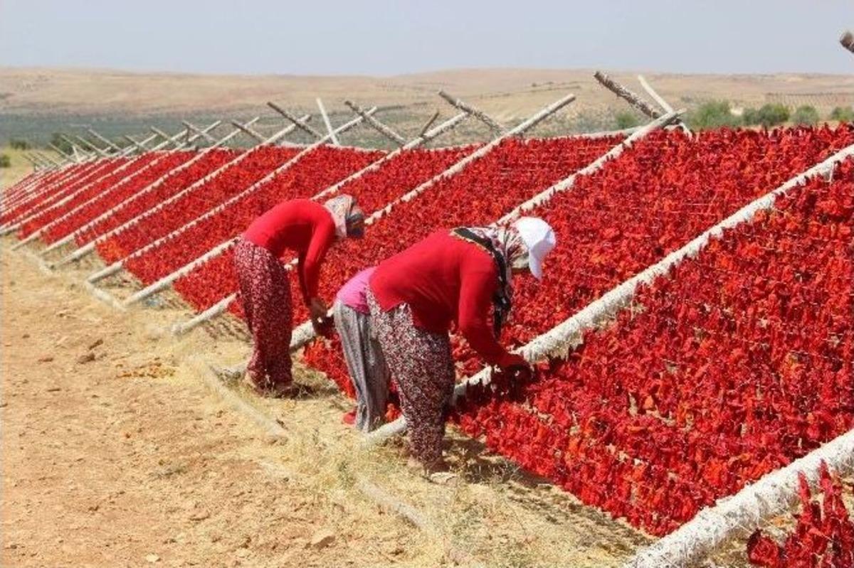 Sıcak Hava En &Ccedil;ok Onların Y&uuml;z&uuml;n&uuml; G&uuml;ld&uuml;r&uuml;yor