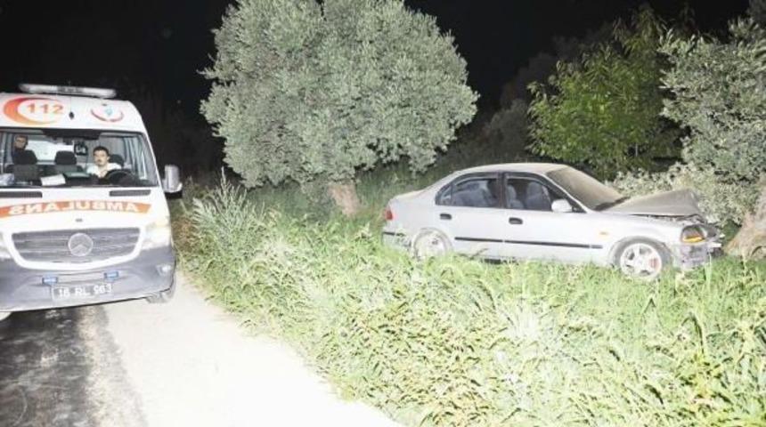 Otomobil Zeytin Ağacına &Ccedil;aptı: 2 Yaralı