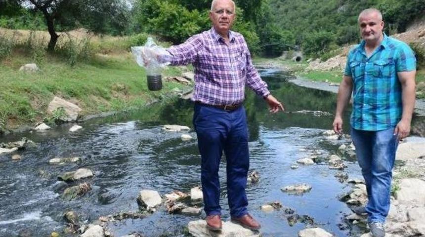 Dilovası'na Adını Veren Dilderesi, Kirlilikten Simsiyah Akıyor