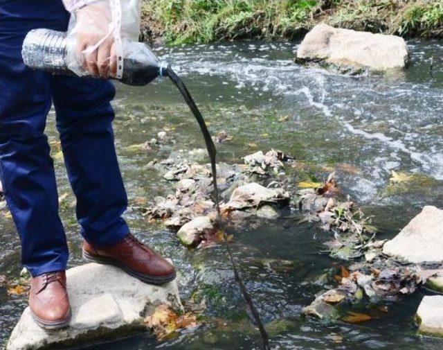 Dilovası na Adını Veren Dilderesi, Kirlilikten Simsiyah Akıyor 2