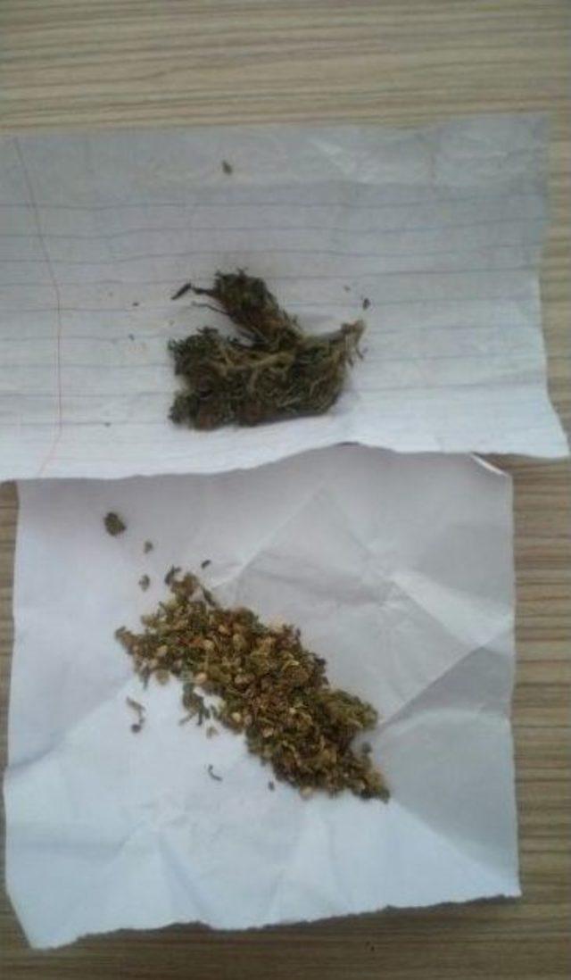 Manavgat Jandarması Torbacı Avında 1