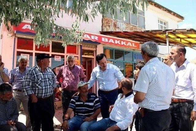 Tok&rsquo;un G&uuml;m&uuml;şhane Ziyareti 2