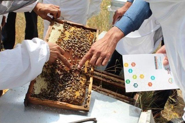 Tkdk’dan Arıcılara Sürdürülebirliklik Eğitimi 1
