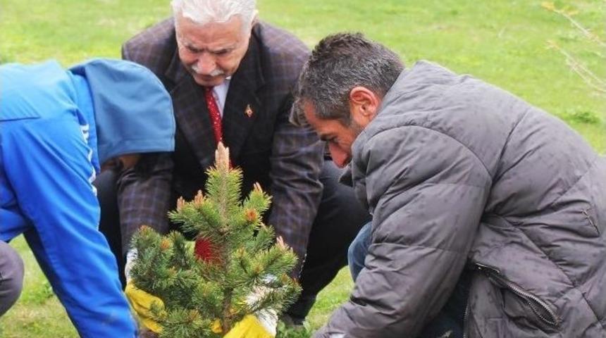 Eski, Tesislere 3000 Fidan Dikti