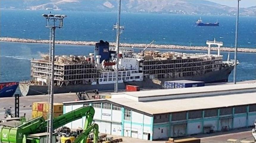 Y&uuml;zen Ahır Yine Bandırma&rsquo;da