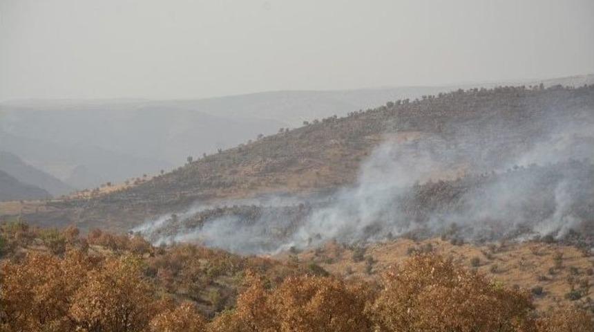 Mardin Bagok Dağında Yangın