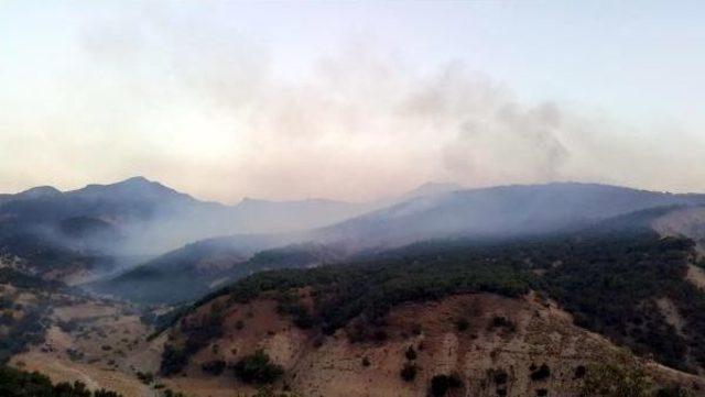 Tunceli Ve Nusaybin'de Orman Yangınları