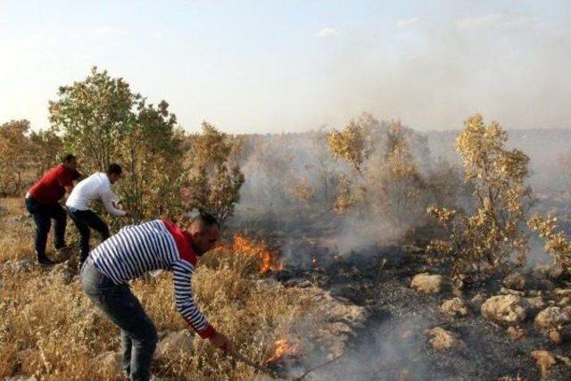 Tunceli Ve Nusaybin'de Orman Yangınları