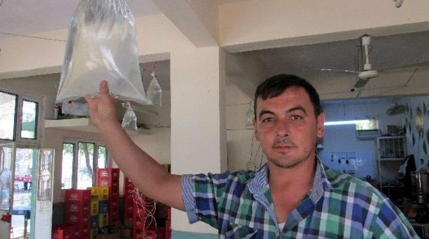 Sineklerden Doğal Y&ouml;ntemlerle Kurtuldu