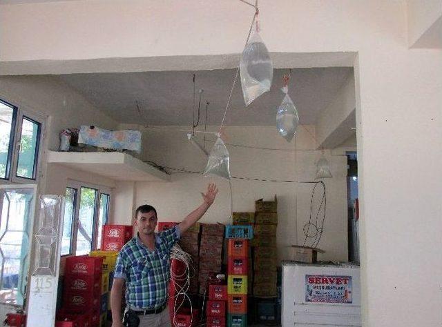 Sineklerden Doğal Y&ouml;ntemlerle Kurtuldu 1