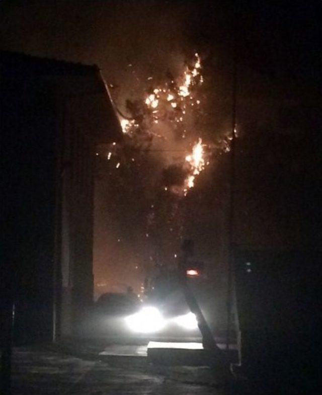 Okul Bah&ccedil;esinde Korkutan Yangın 1