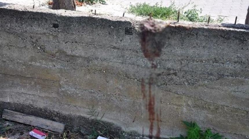 Duvardan Atlamak İsteyen Tay Demirlere Saplandı