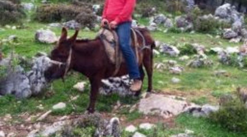 Antalya’da Cinayet