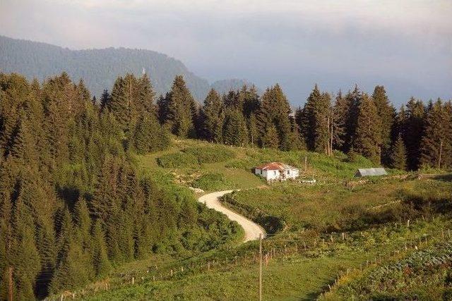 Paşakonağı Yaz Ve Kış Turizminin Yıldızı Olacak 2