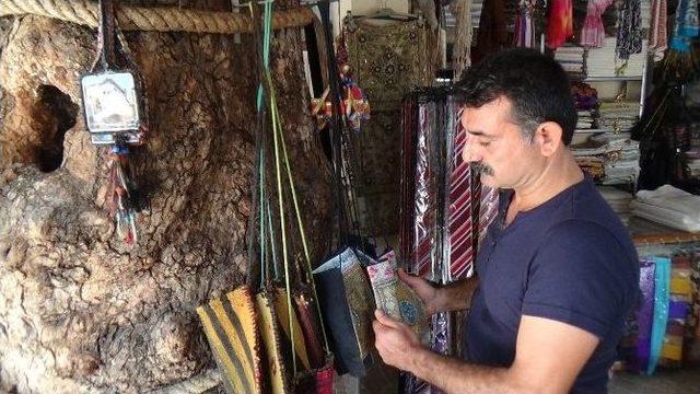 120 Yıllık &Ccedil;ınar Ağacı İ&ccedil;in İş Yerinin &Ccedil;atısını Deldi 1