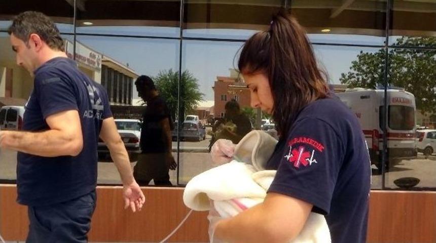 Kilis&rsquo;te Yeni Doğan Bebek Parka Terk Edildi