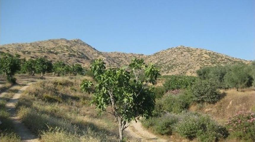 İzmir&rsquo;de Taş Ocağı Yapılacak Alana &rsquo;tarihi Alan&rsquo; Uyarısı