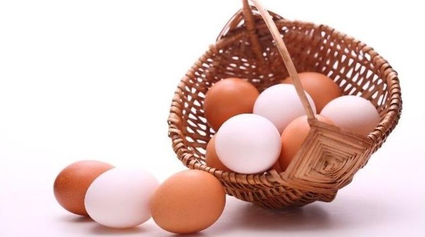 Ordu&rsquo;da Yumurta &Uuml;reticileri &lsquo;birlik&lsquo; Olacak