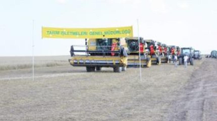 Hasat Bayramı A&ccedil;ılışı Yapıldı