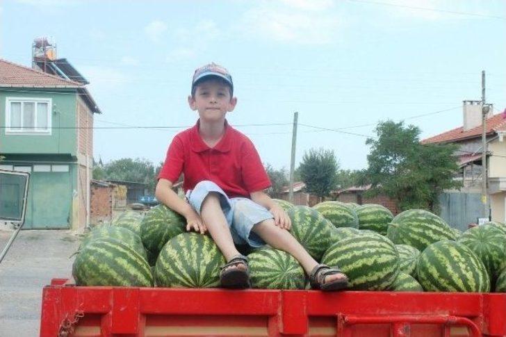 (özel Haber) Tekirdağ’ın Meşhur Karpuzu Para Etmeyince Hayvanlara Yem Oldu G4
