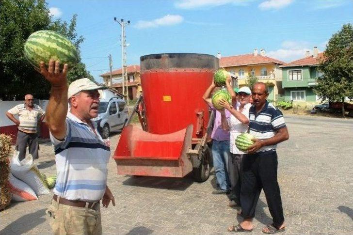 (özel Haber) Tekirdağ’ın Meşhur Karpuzu Para Etmeyince Hayvanlara Yem Oldu G5