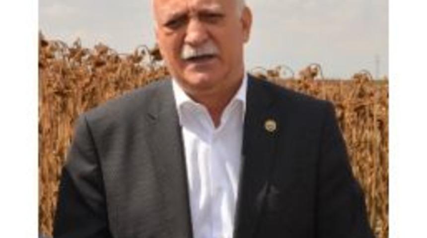 Ay&ccedil;i&ccedil;eği &Uuml;retimi A&ccedil;ığı Kapatmaya Yetmiyor