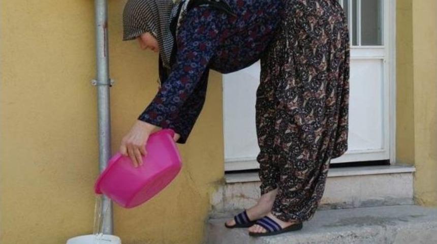 Sıcaklarda Sokak Hayvanlarına Sahip &Ccedil;ıkalım