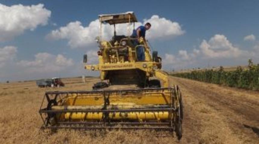 Beyşehir&rsquo;de Nohut &Uuml;retimi Arttı